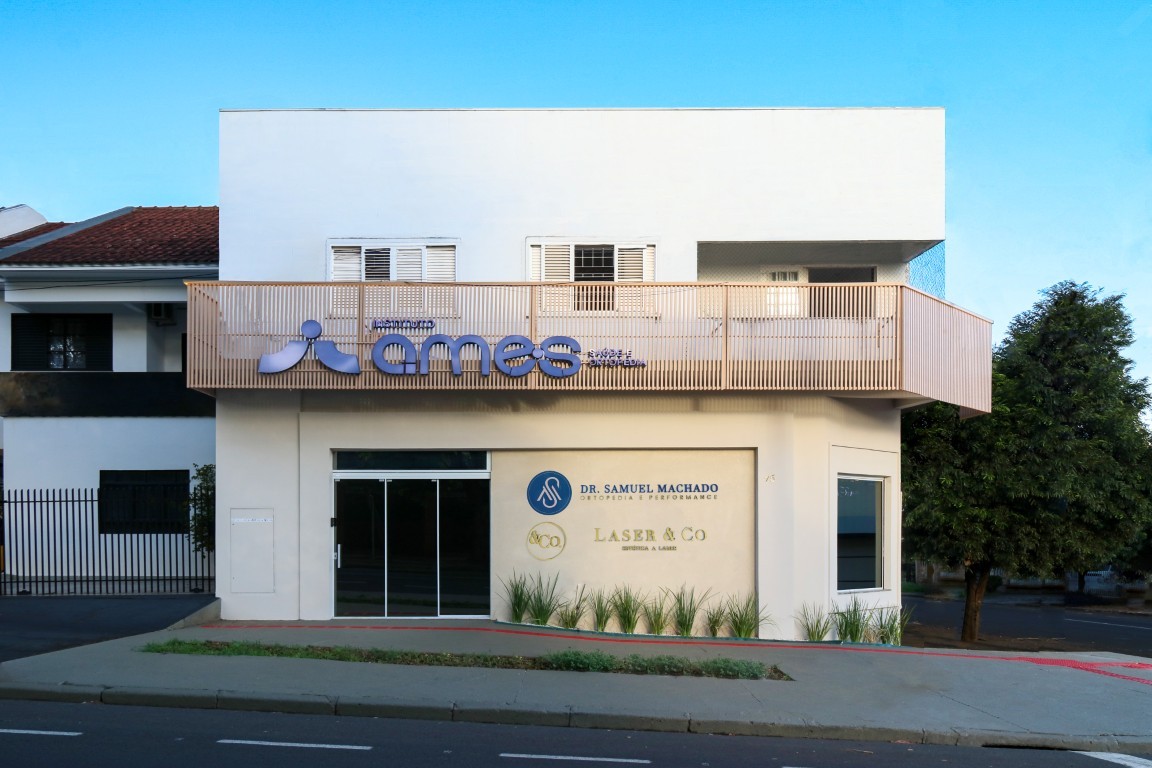 Imagem da Obra Instituto Ames